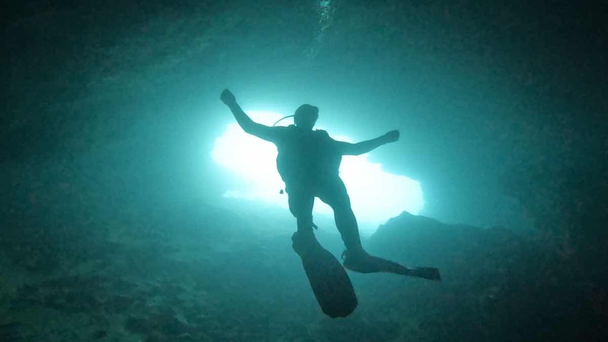 Indigo Dive photo 3