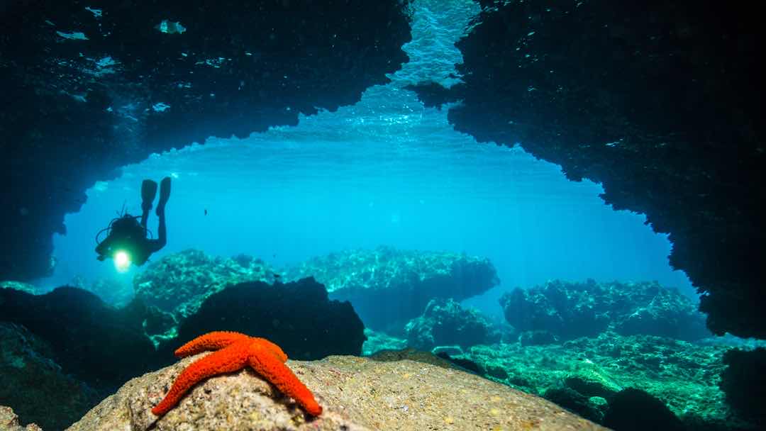 Indigo Dive photo 5