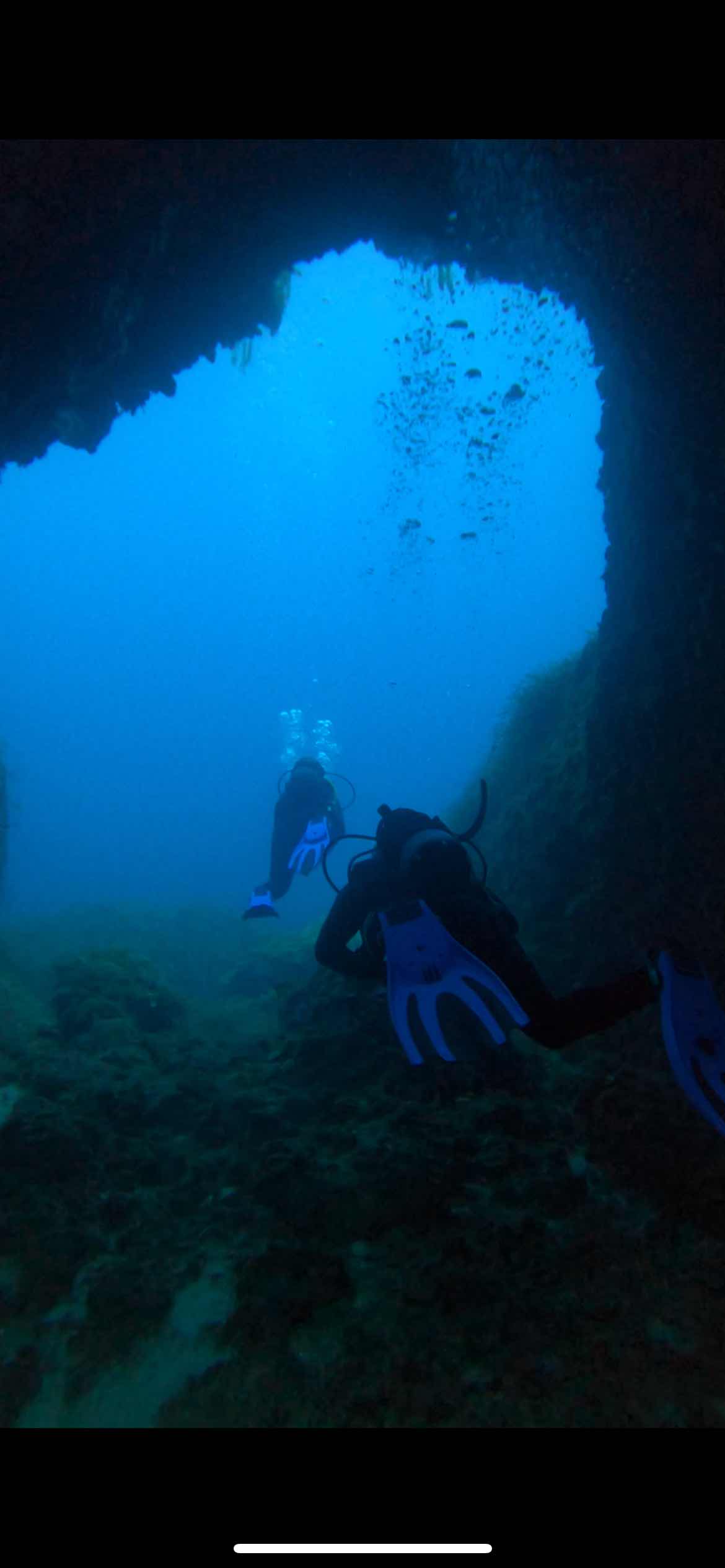 Indigo Dive photo 8