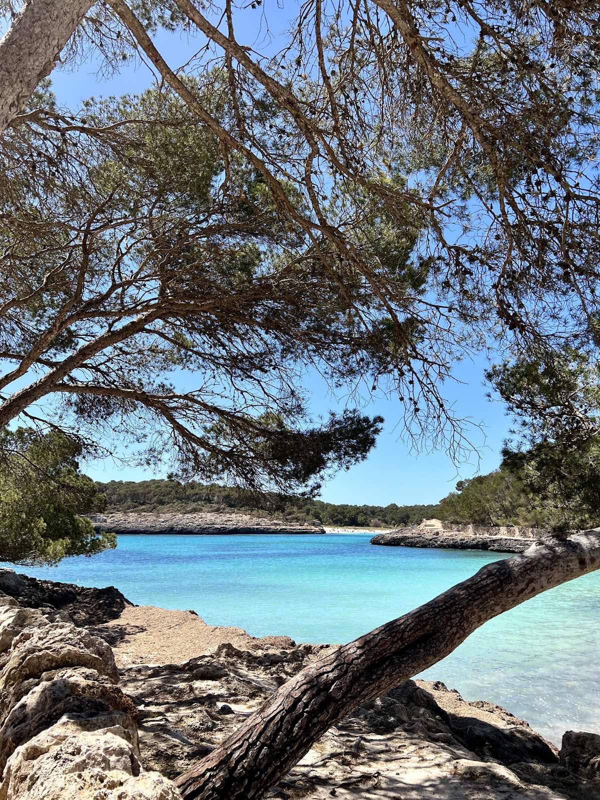 Indigo Dive photo 10