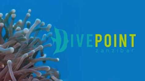 Divers in flipflops photo 7