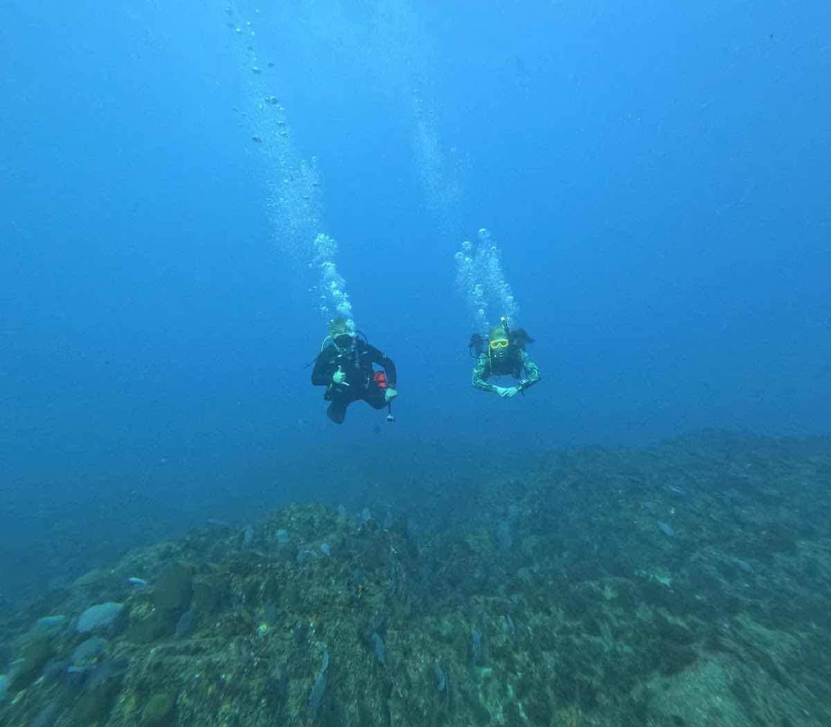 FreeDive Baja photo 4