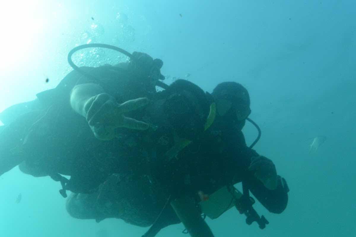 FreeDive Baja photo 5