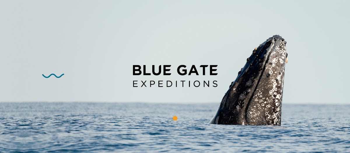 FreeDive Baja photo 6