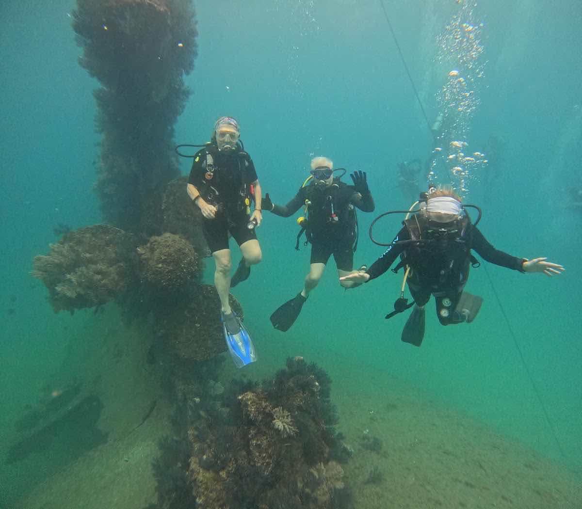 FreeDive Baja photo 7