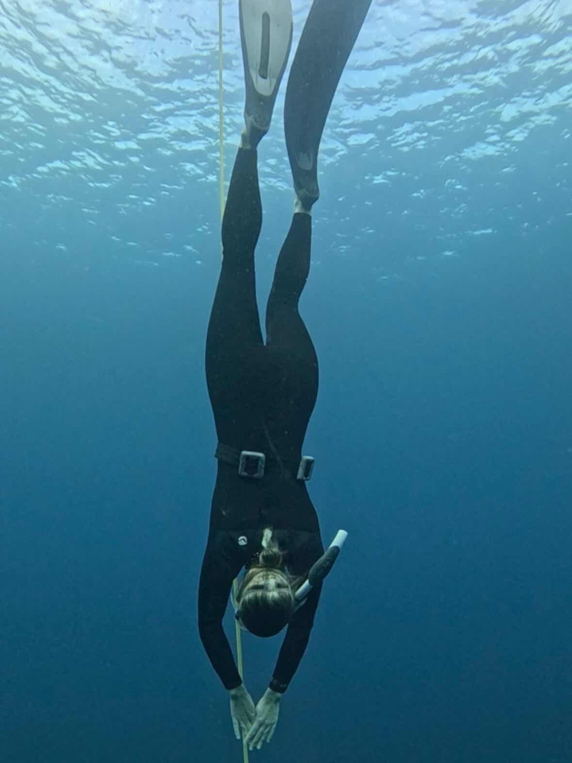 FreeDive Baja photo 9