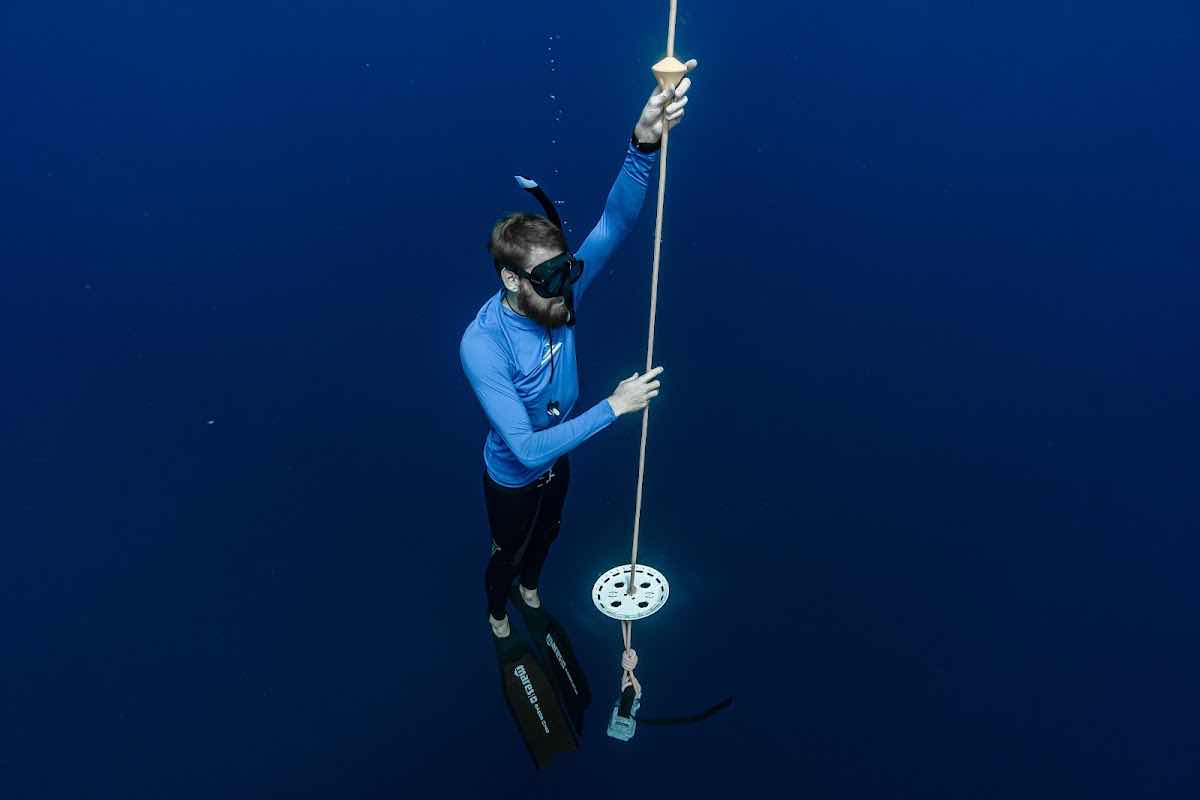 FreeDive Baja photo 10