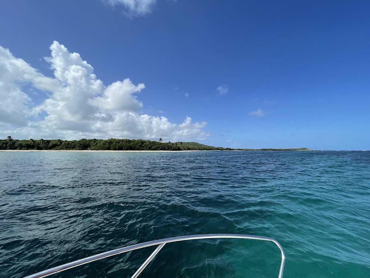Zone2glisse, Balade en bateau, Bouées tractées, Wakeboard, sud caraïbe Martinique, Bateau-ecole photo 8