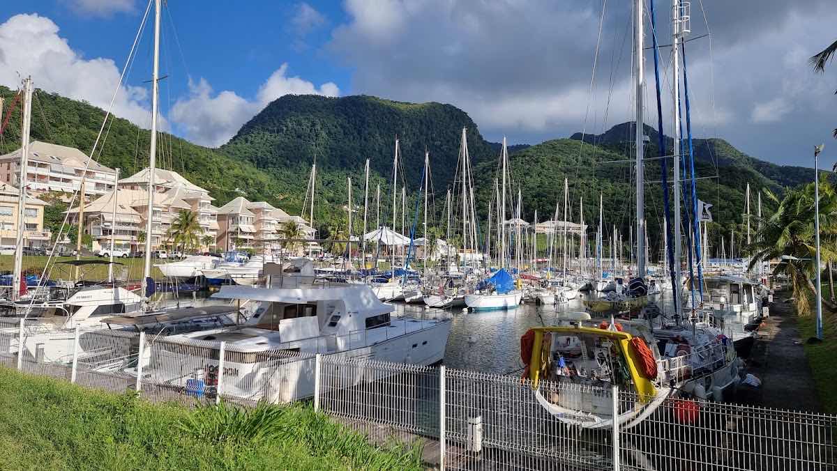 Basse-Terre Plongée photo 5