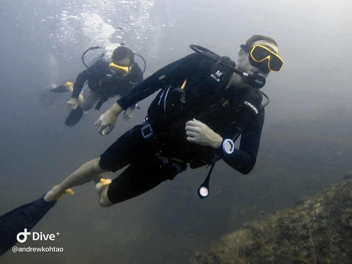 Mojo Diver - Koh Tao Diving Centre(Main Centre) photo 4