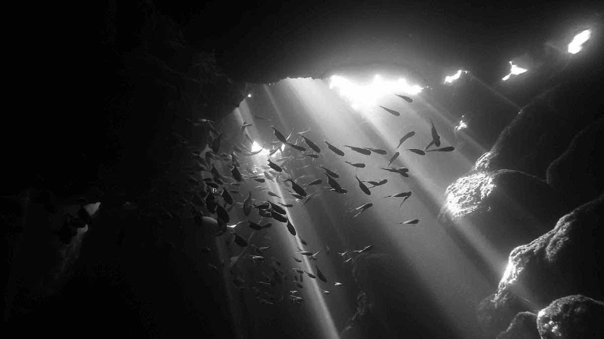 Quality Time Divers photo 1
