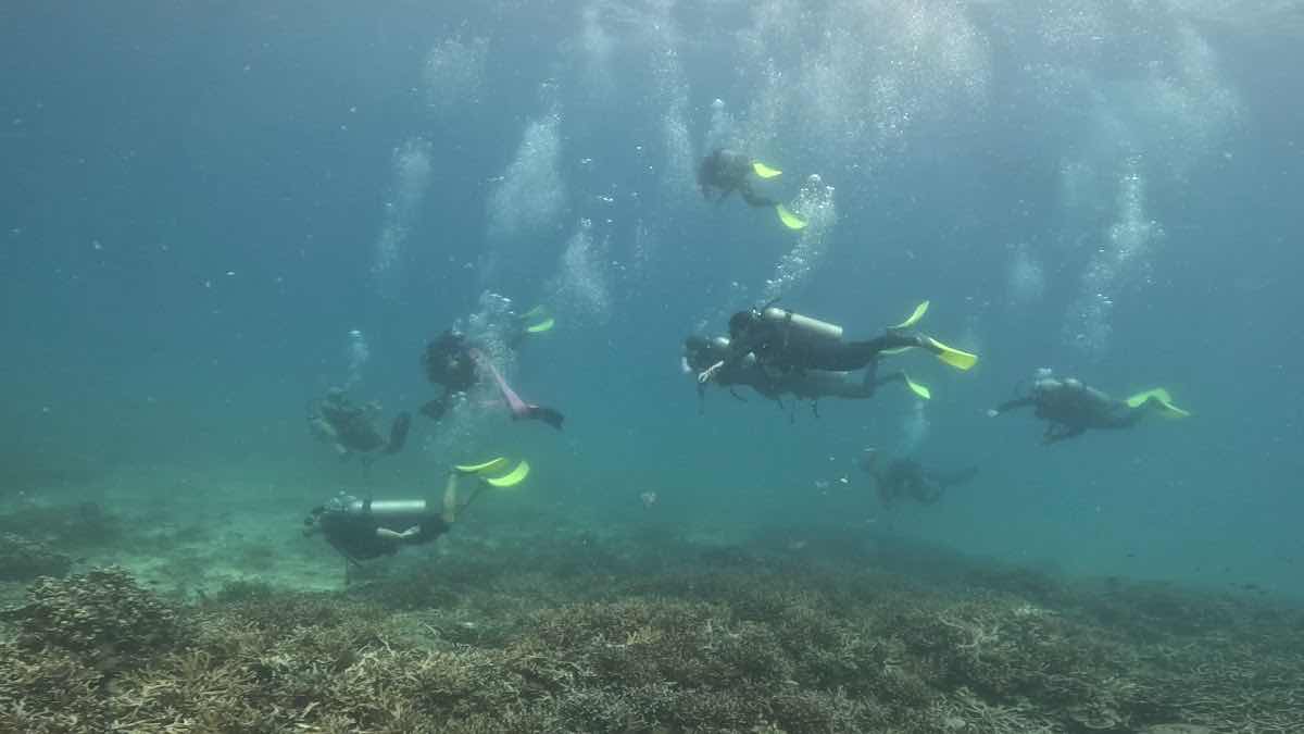 Maori Dive Academy photo 3