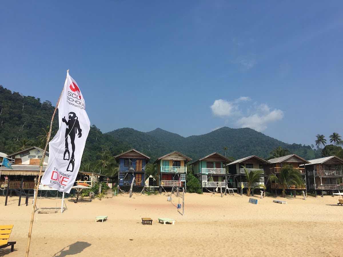 Maori Dive Academy photo 9