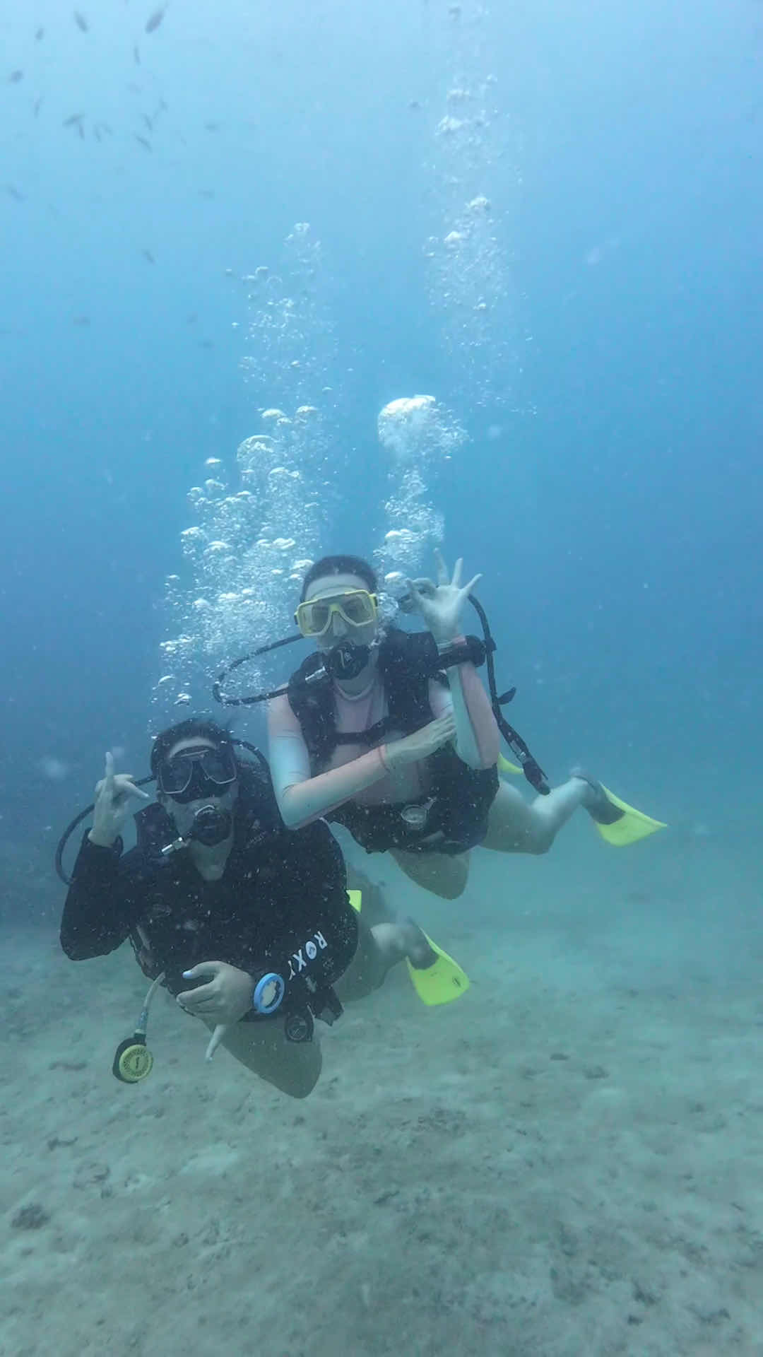 Medusa Divers Dive Center photo 3