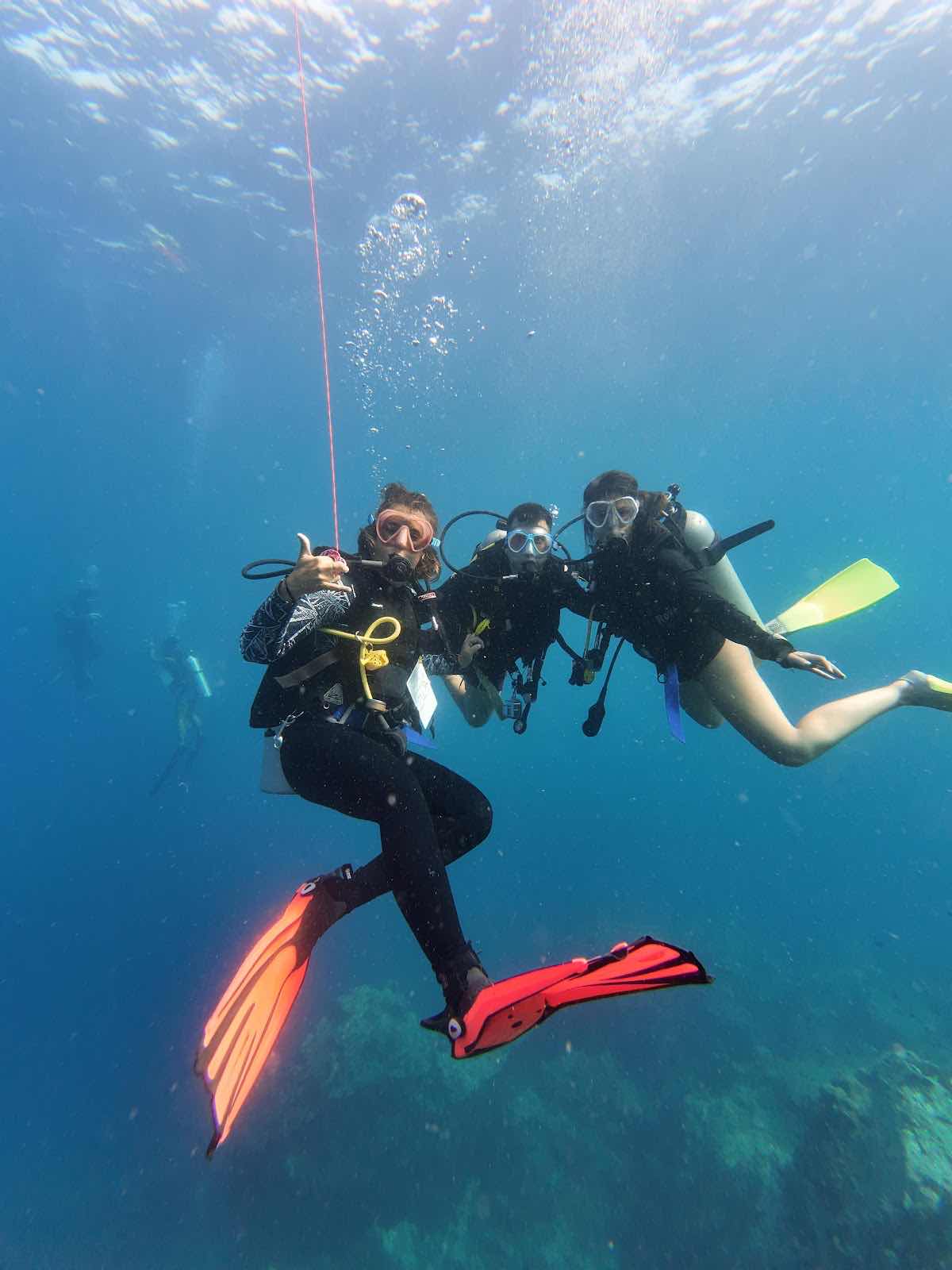Medusa Divers Dive Center photo 10