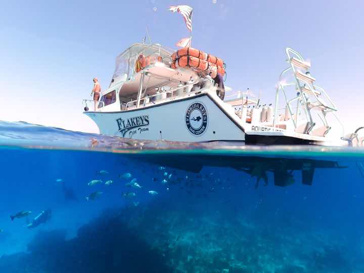 Scuba Town photo 4