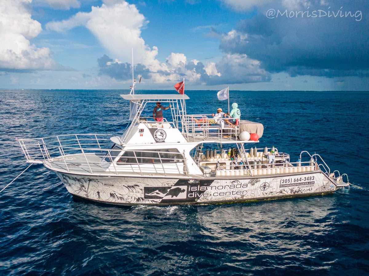 Scuba Town photo 10