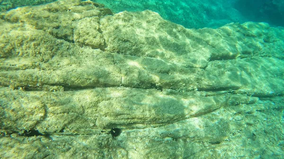 Diving Castile | Diving Sous-Marine Calvi photo 4