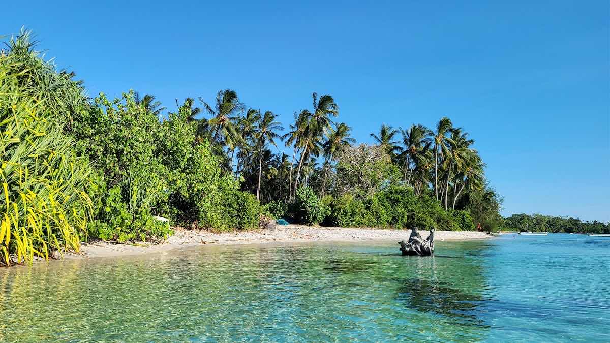 Fun Divers Zanzibar photo 1