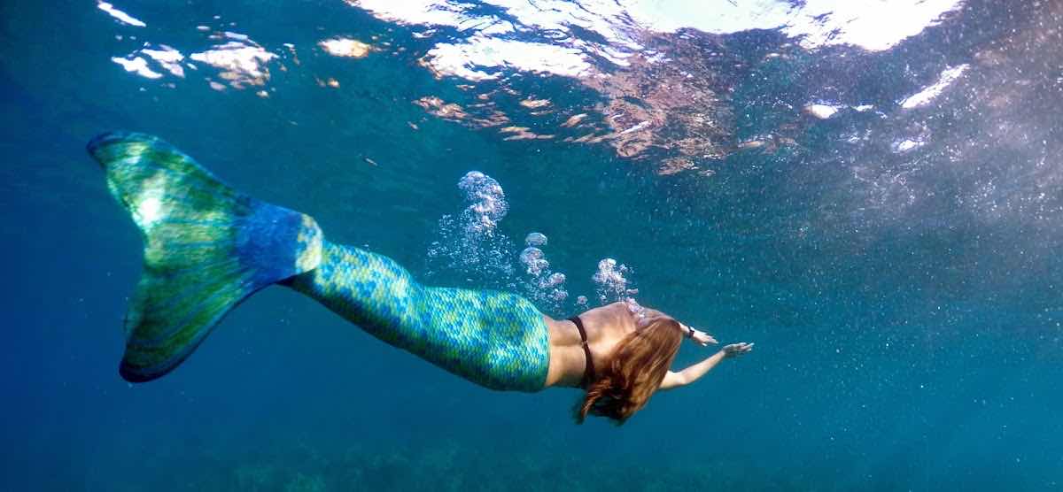 Maui Mermaid School photo 3