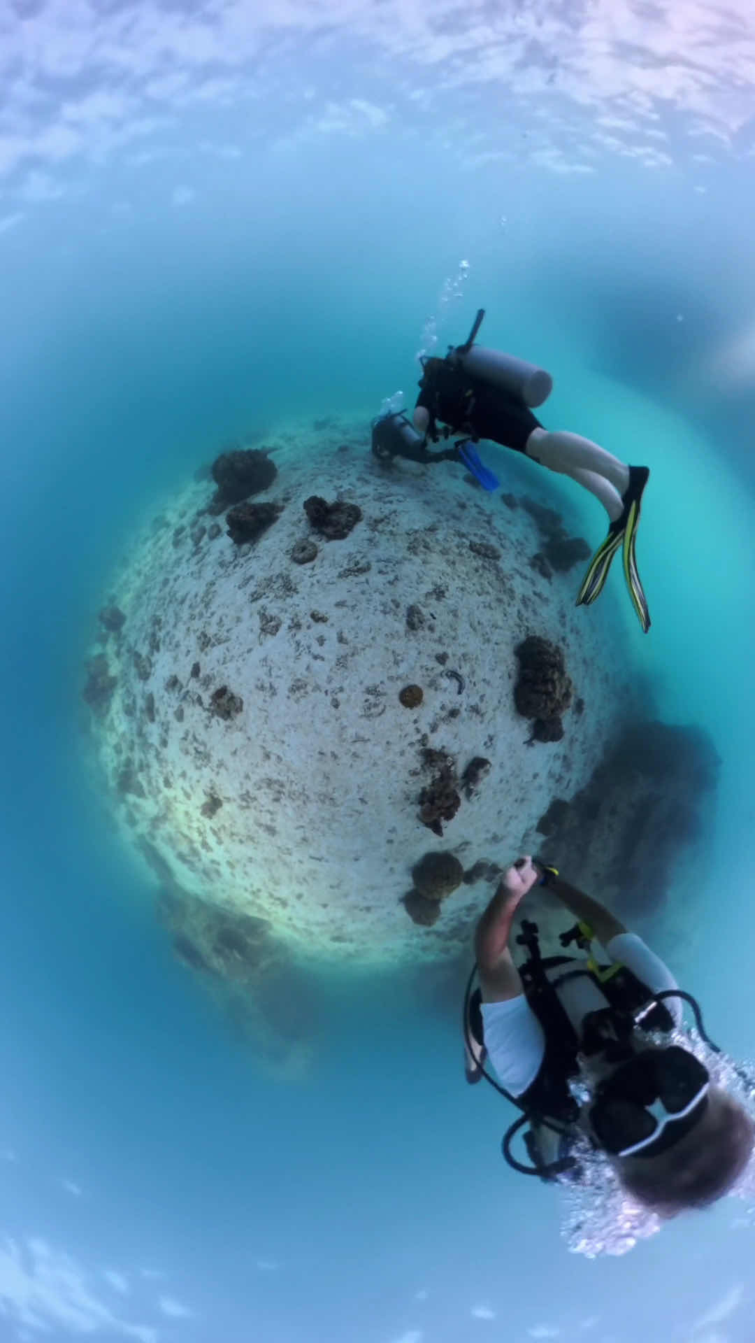 Rainbow Fish Divers photo 3