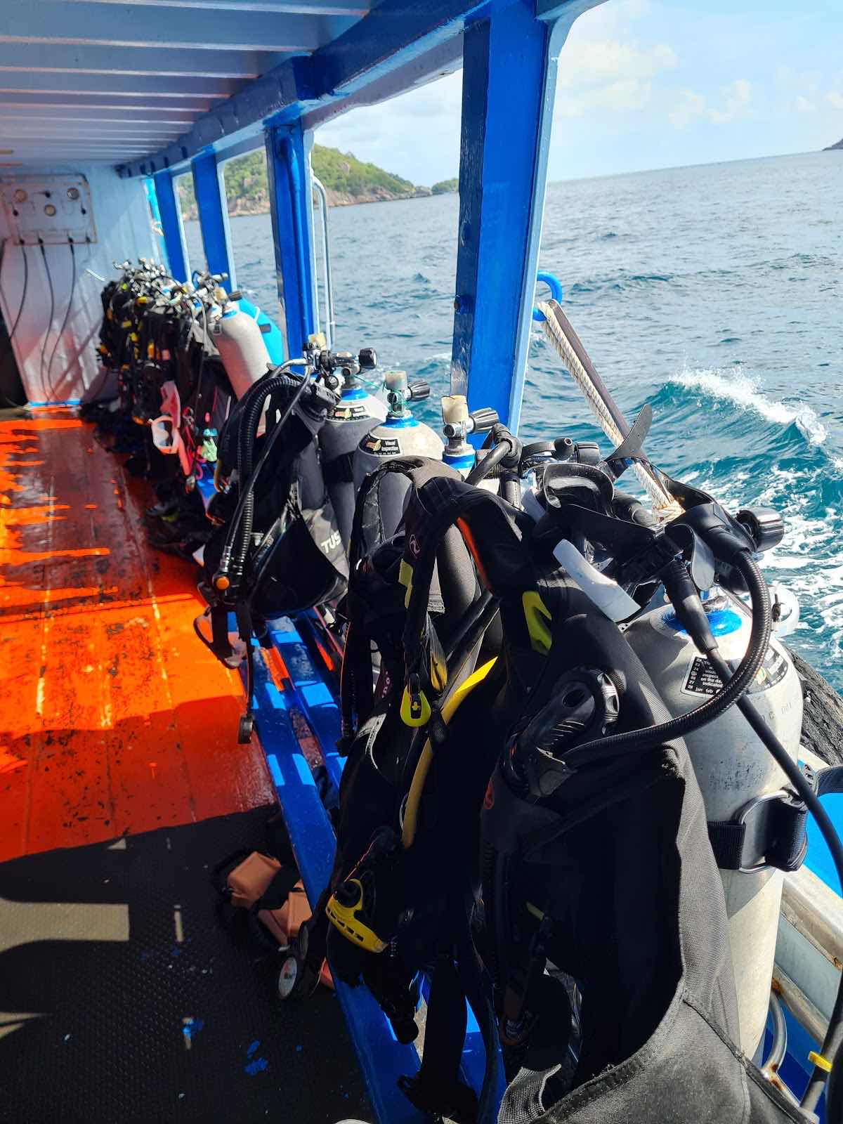 Rainbow Fish Divers photo 8