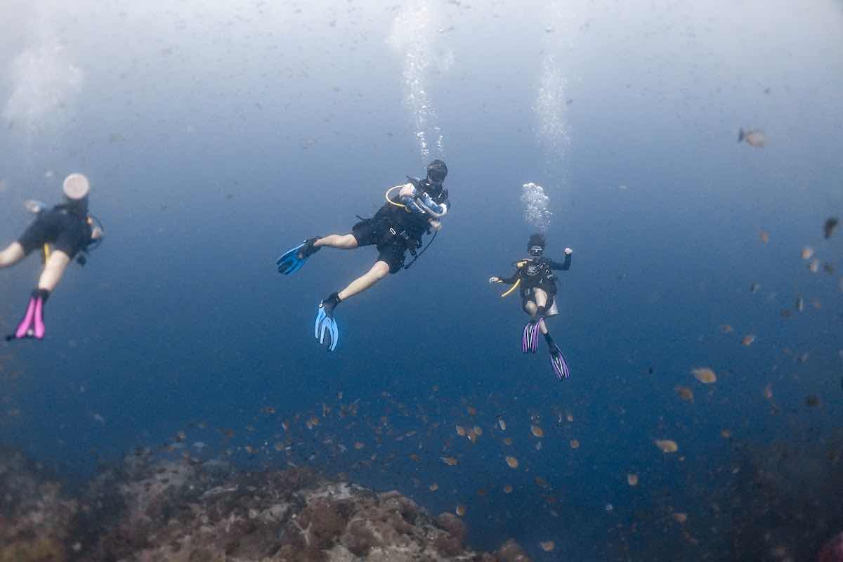 Rainbow Fish Divers photo 10