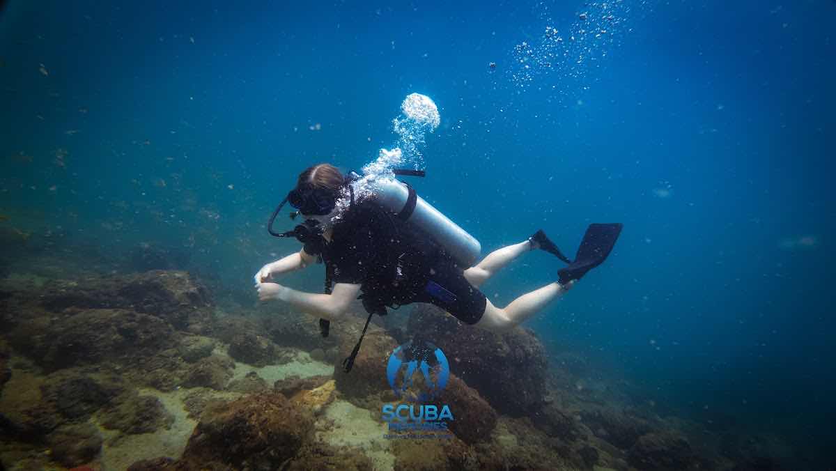 Scuba Memories photo 6