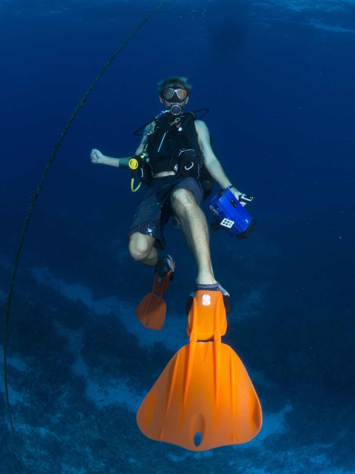 Cayman Eco Divers photo 8