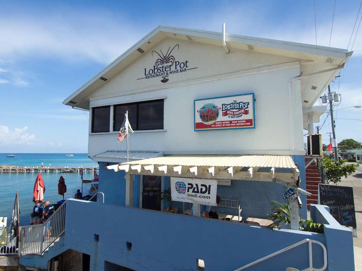Cayman Eco Divers photo 10