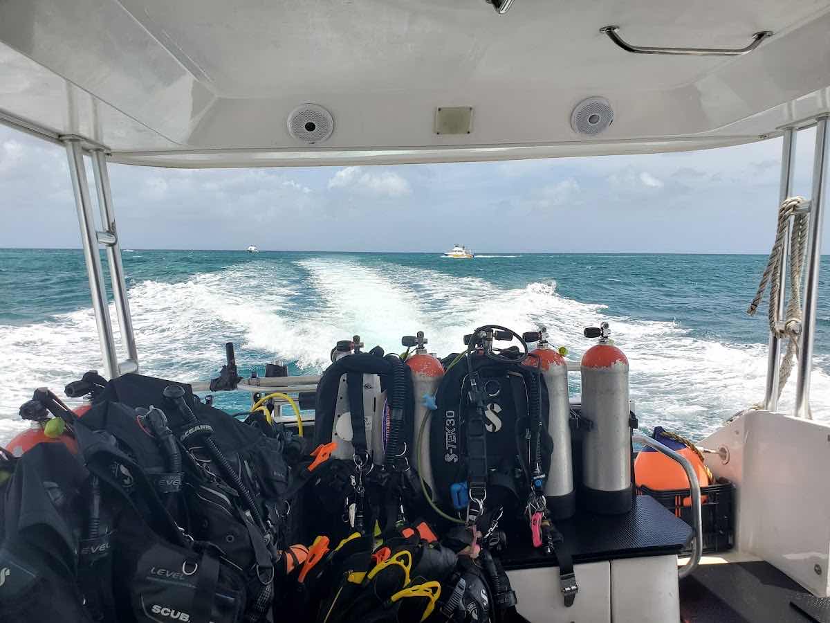 Palm Beach Divers Aruba photo 3