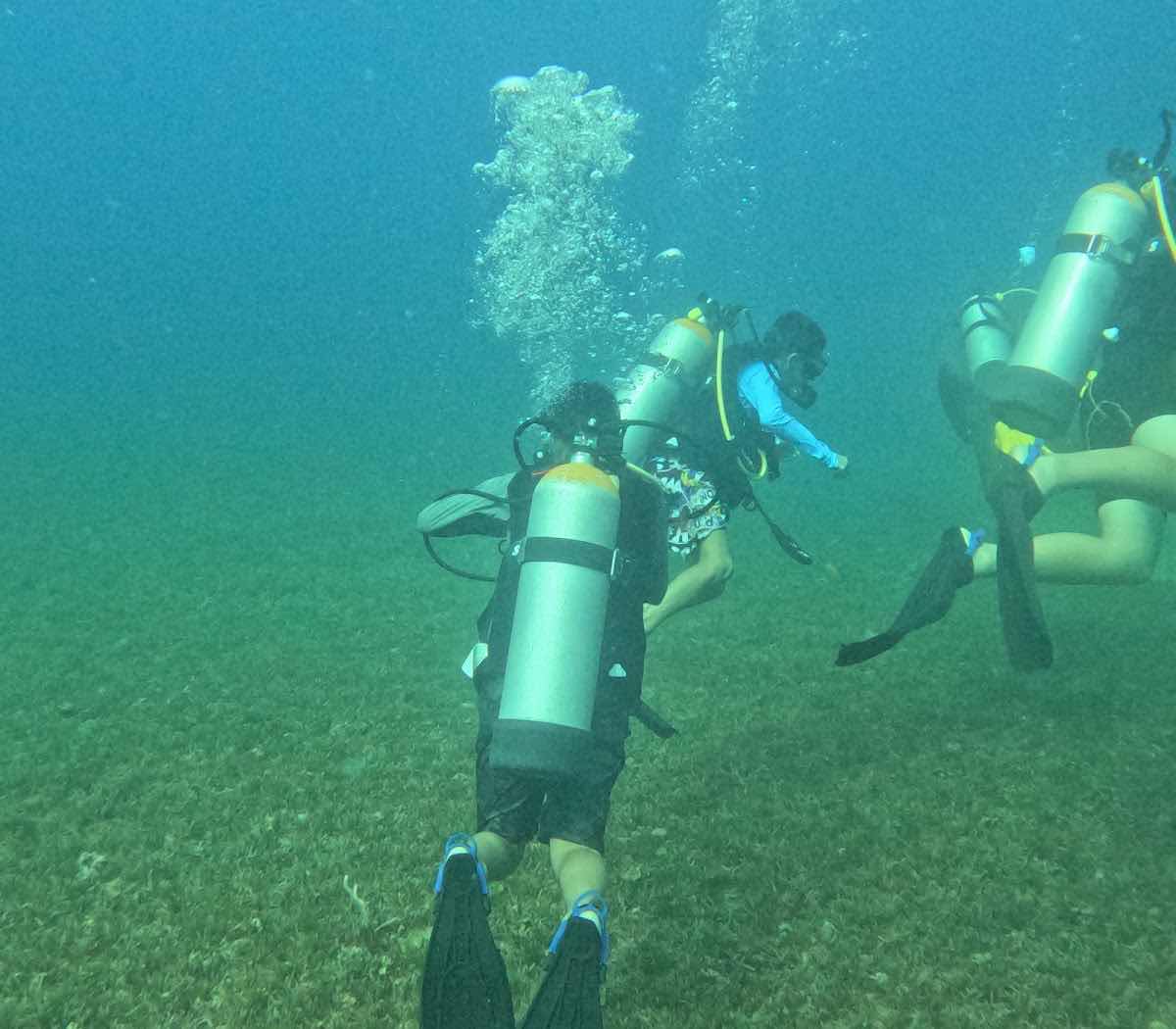 Palm Beach Divers Aruba photo 6