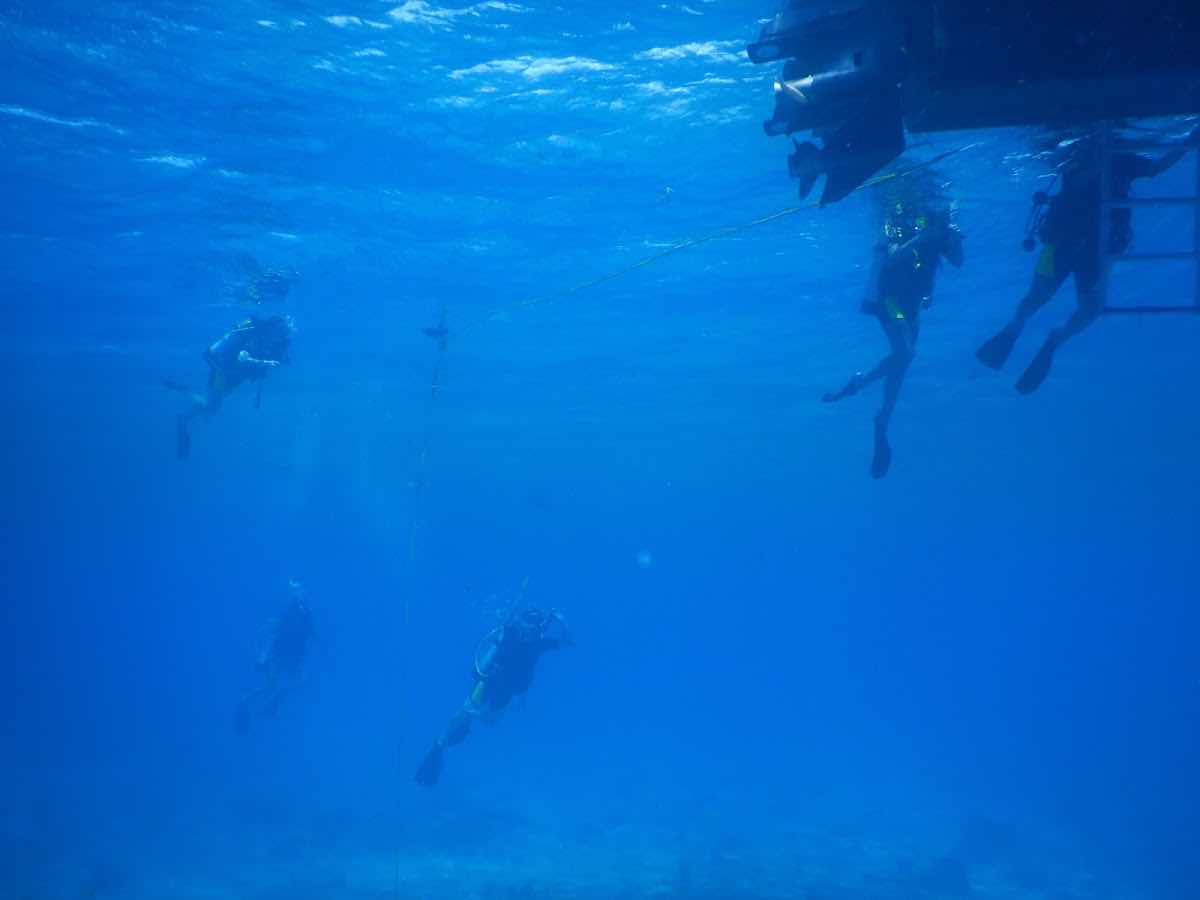 Palm Beach Divers Aruba photo 7