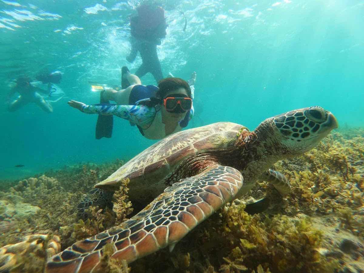 Cebu Sea Tours photo 2