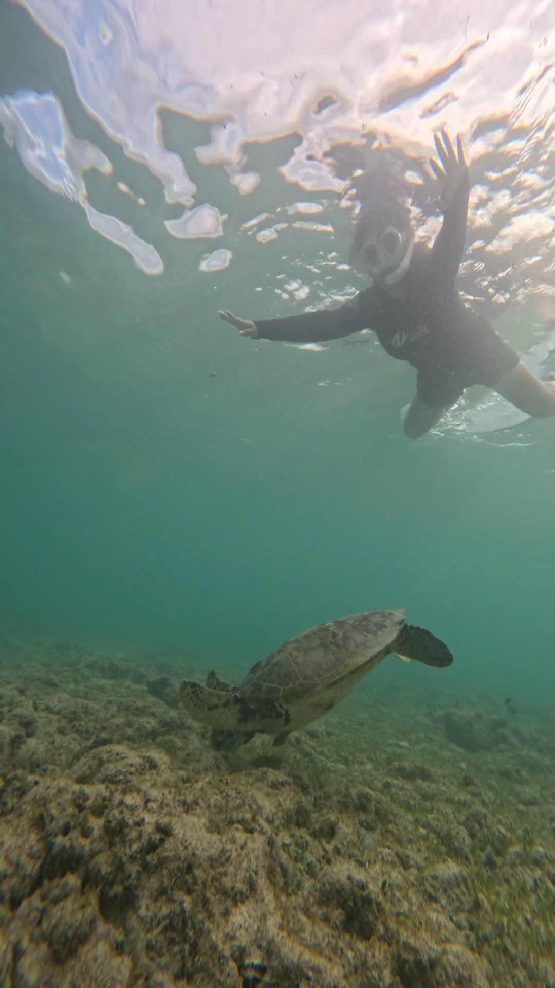 Cebu Sea Tours photo 3