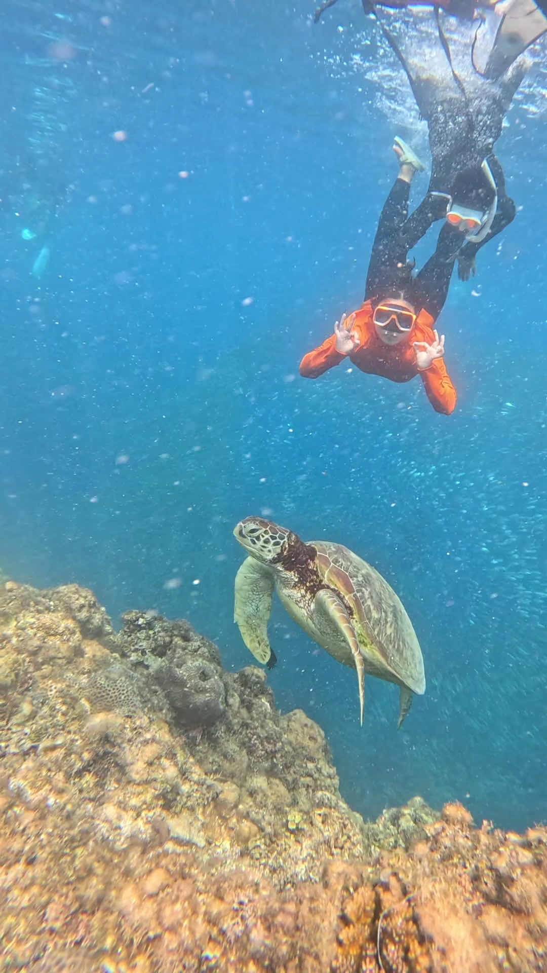 Cebu Sea Tours photo 4