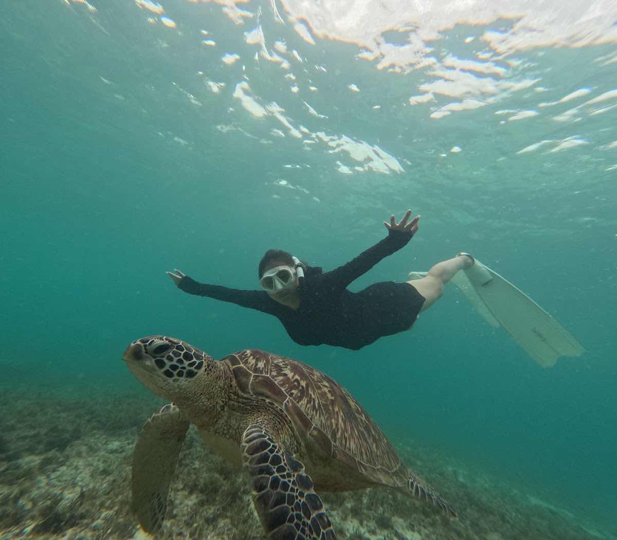 Cebu Sea Tours photo 9