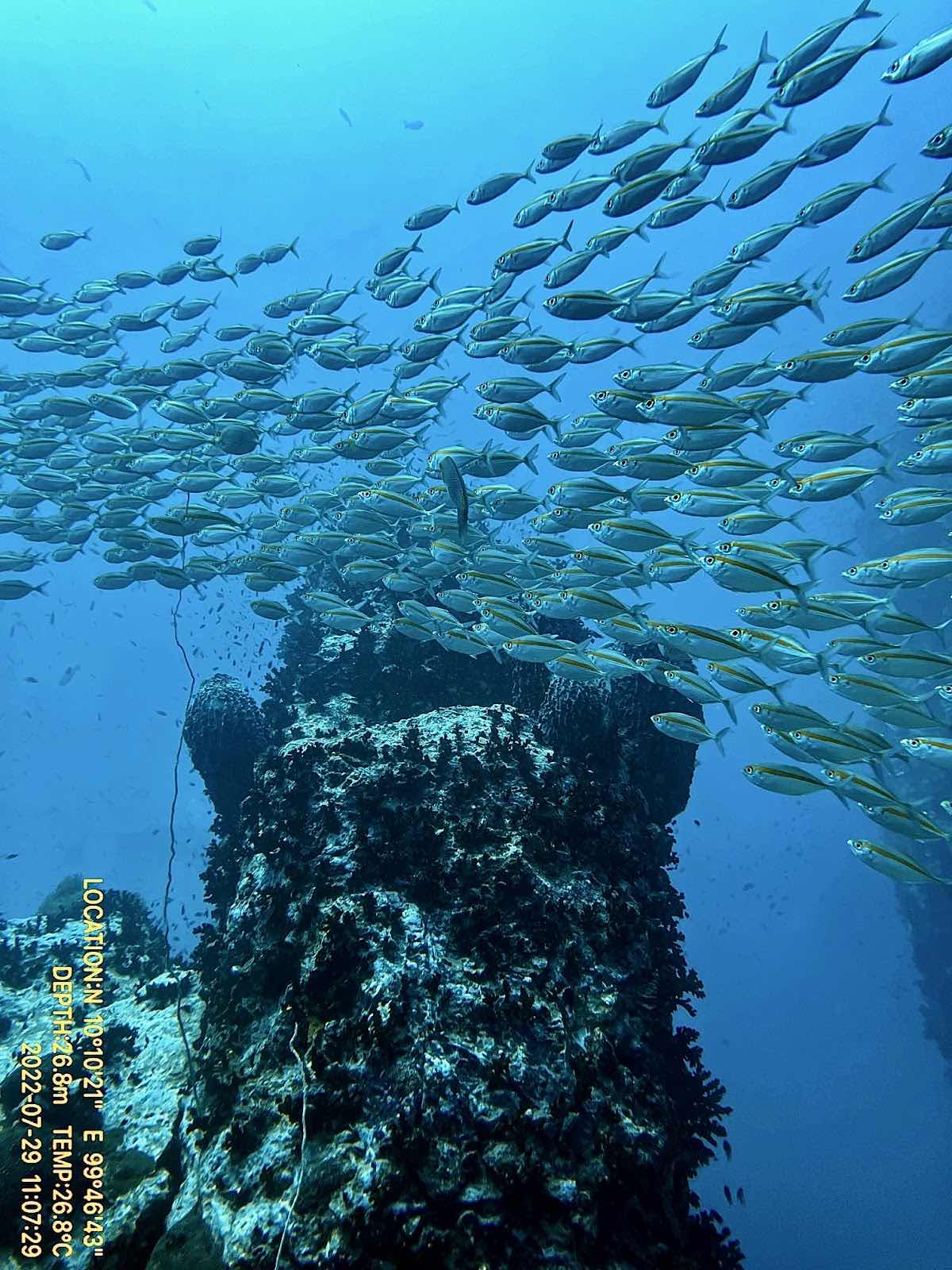 Discovery Divers Pier location photo 8