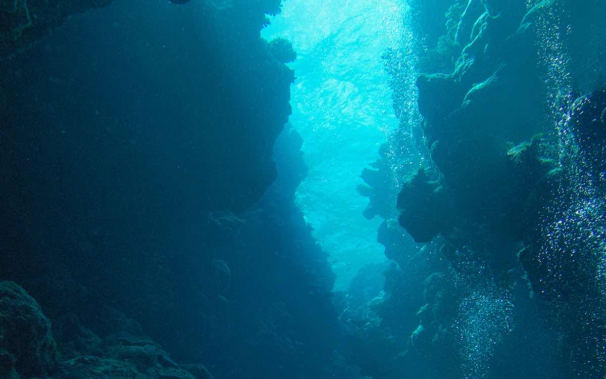 Dive Fiji Oneta PADI 5 Star Dive Resort photo 2