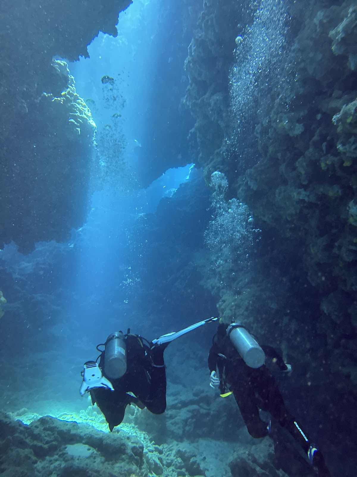 Dive Fiji Oneta PADI 5 Star Dive Resort photo 6