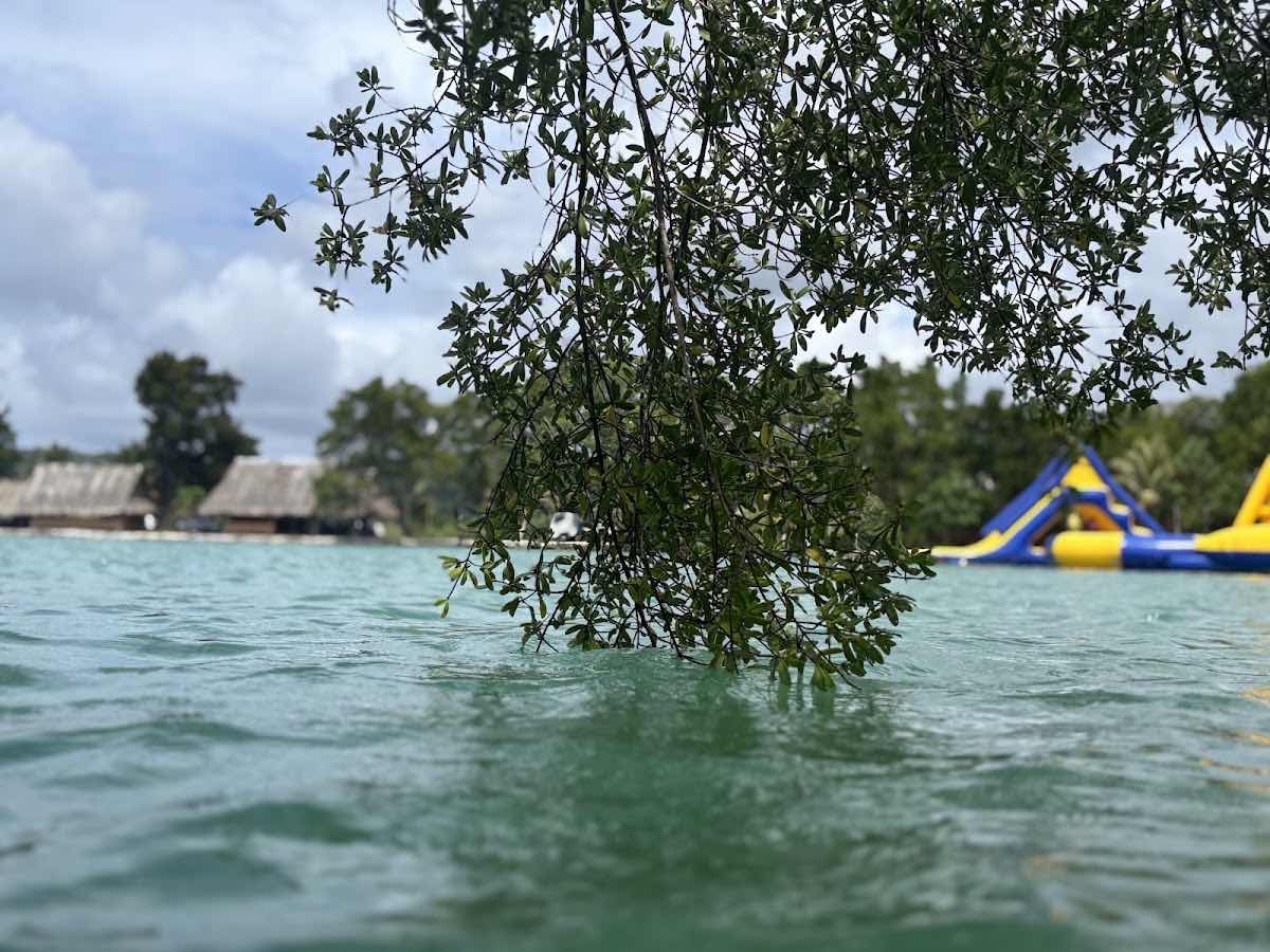 Pohnpei Surf Club photo 7