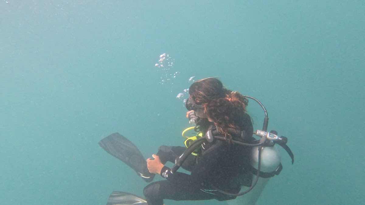 Nilaveli Diving & Snorkeling Tours photo 3