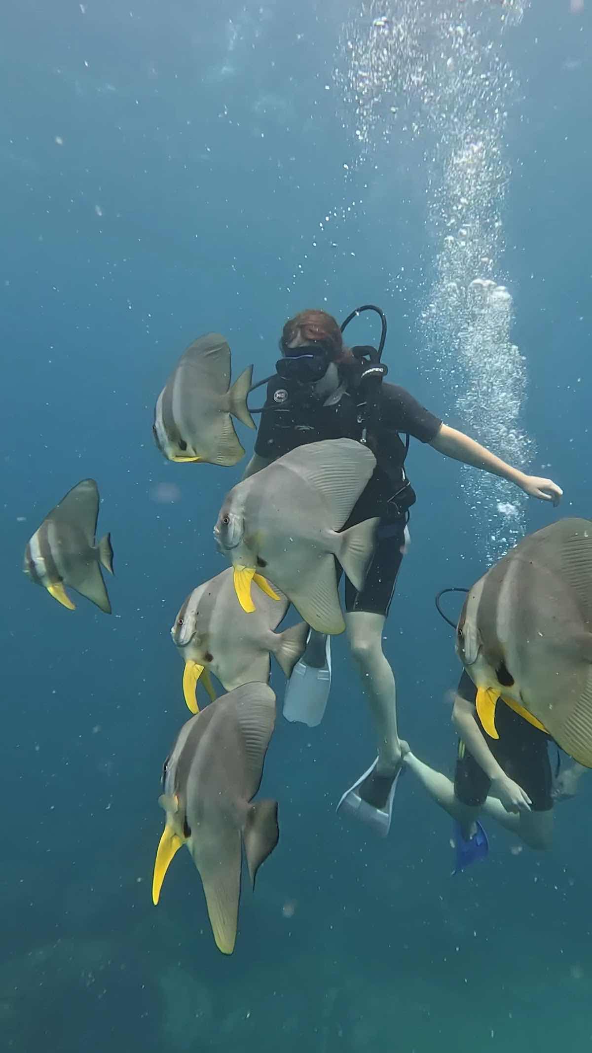 Nilaveli Diving & Snorkeling Tours photo 4