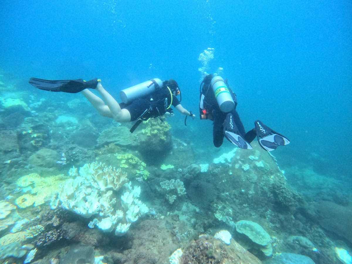 Nilaveli Diving & Snorkeling Tours photo 6