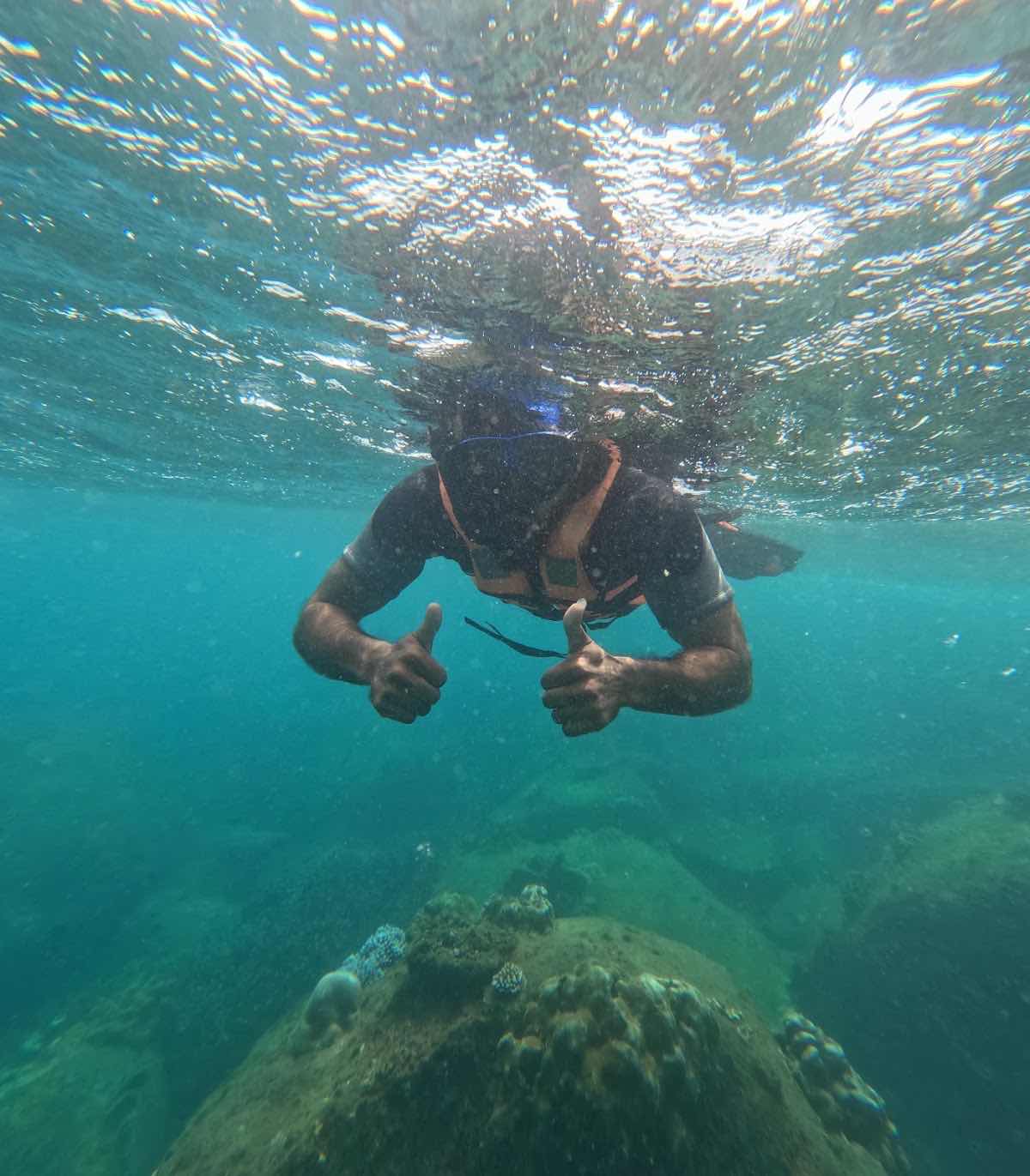Nilaveli Diving & Snorkeling Tours photo 8