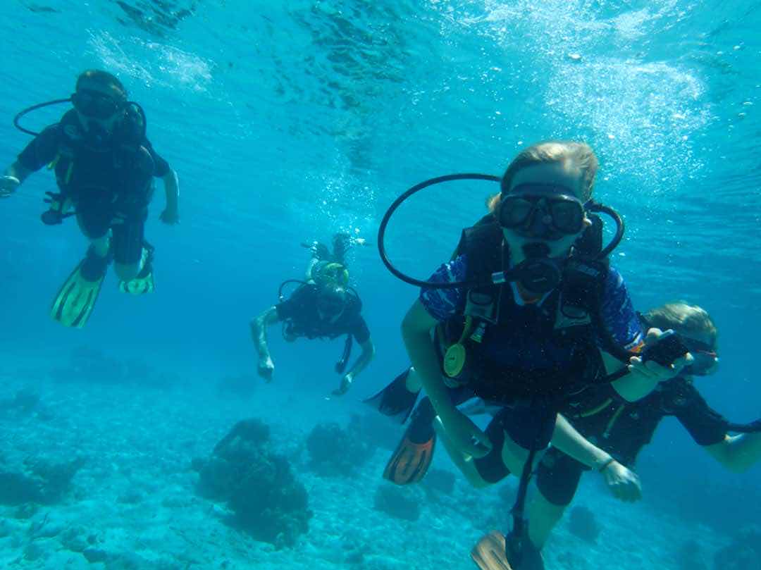 King (SCUBA DIVING GUIDE) and snorkeling photo 1