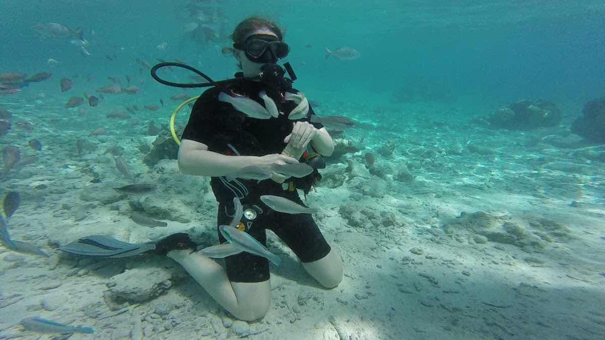 King (SCUBA DIVING GUIDE) and snorkeling photo 2