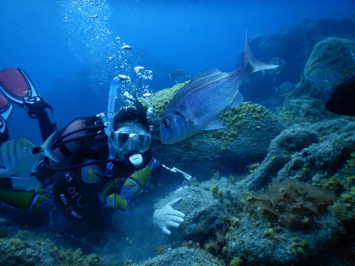 Margullar Diving photo 4