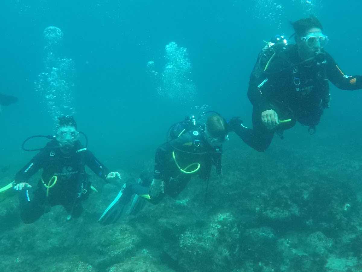 Margullar Diving photo 5
