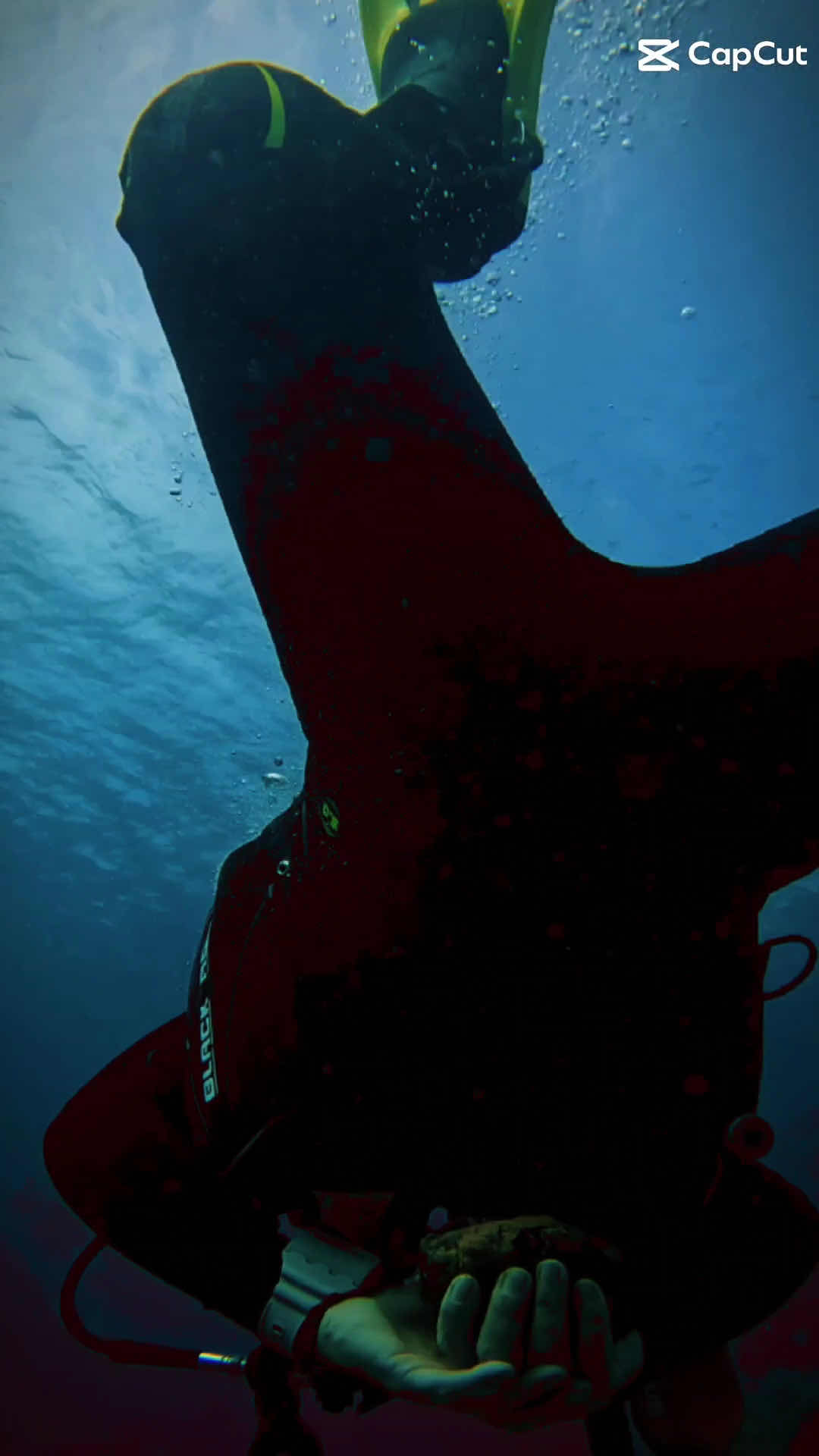 Margullar Diving photo 7
